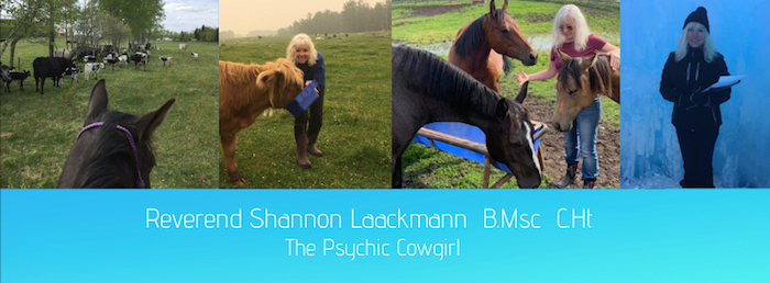 the-psychic-cowgirl