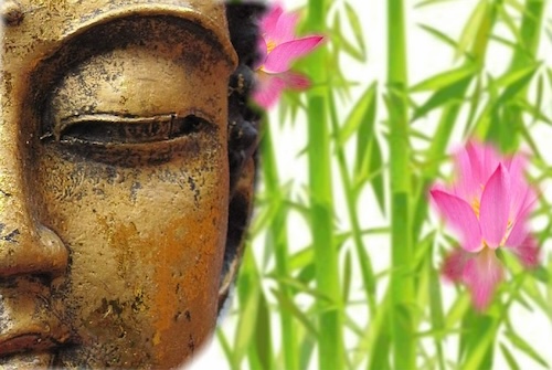 shelley-buddha